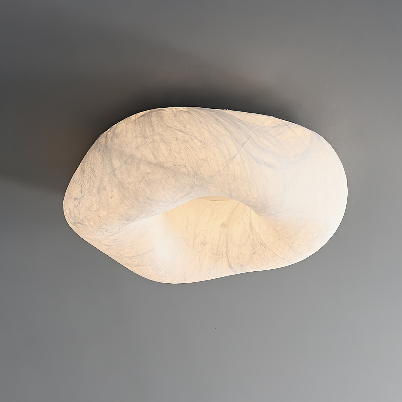 Yunduo Silk Ceiling Lamp by FIFTH & BEAM — product view 26