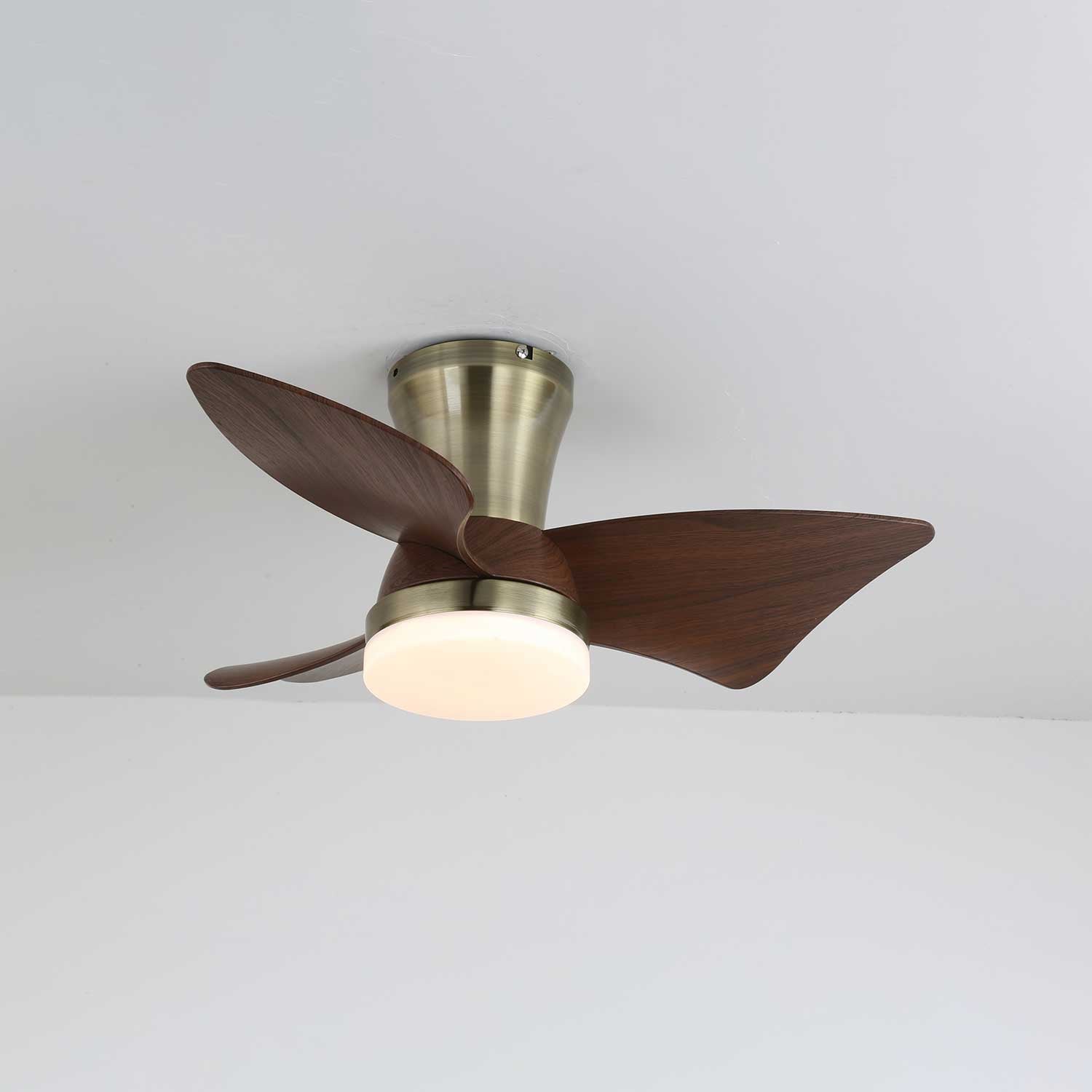 Zephyr Crest Ceiling Fan Light by FIFTH & BEAM — product view 7