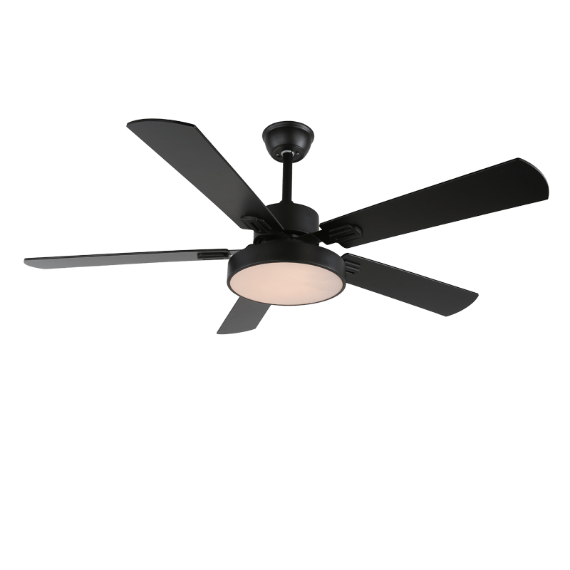 Zephyris Ceiling Fan Light by FIFTH & BEAM — product view 9
