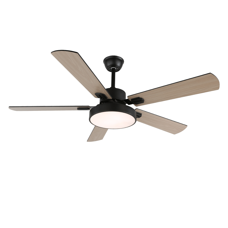 Zephyris Ceiling Fan Light by FIFTH & BEAM — product view 2