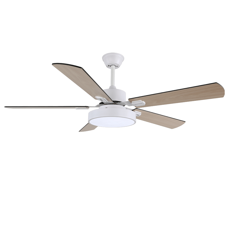Zephyris Ceiling Fan Light by FIFTH & BEAM — product view 6