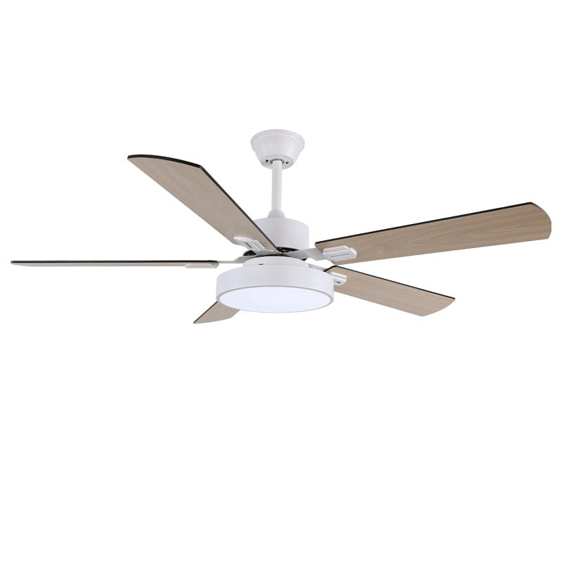 Zephyris Ceiling Fan Light by FIFTH & BEAM — product view 10